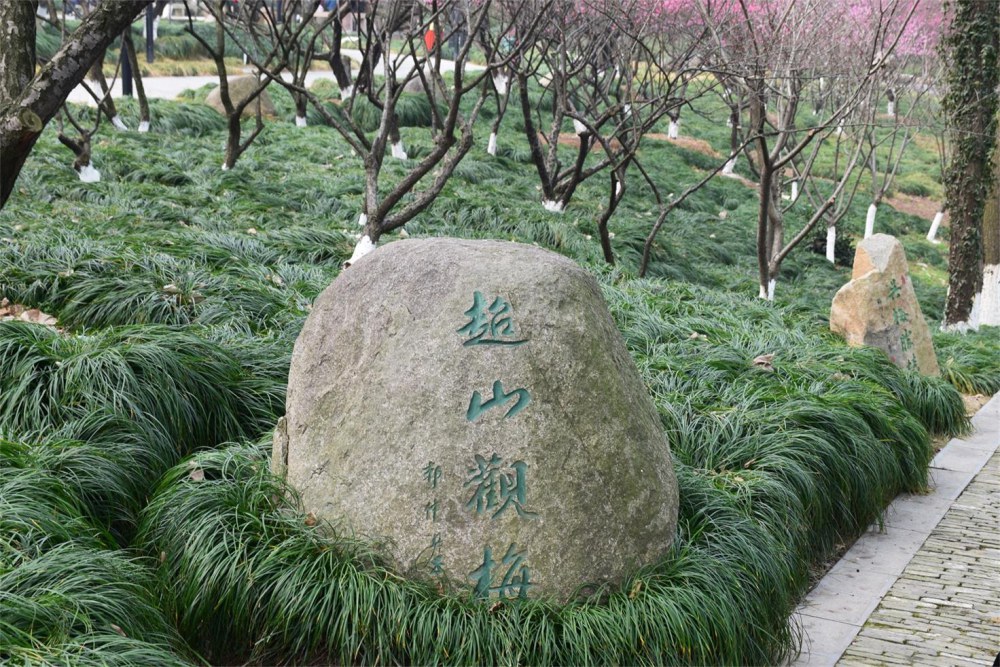 ��ɽ��÷ 192.JPG