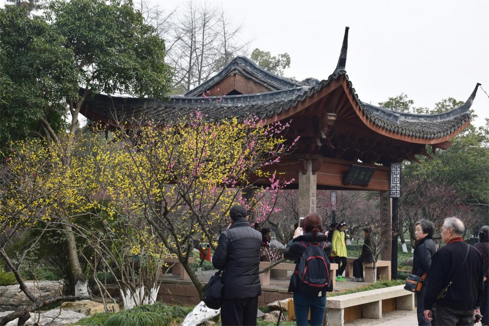 ��ɽ��÷ 198.JPG