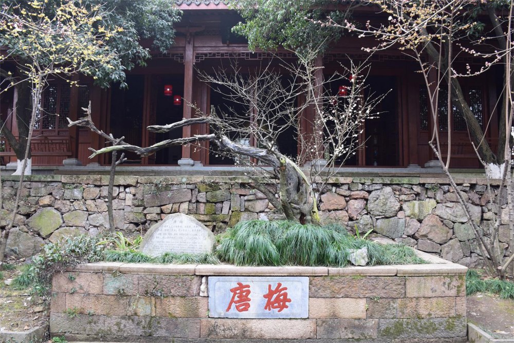 ��ɽ��÷ 177.JPG