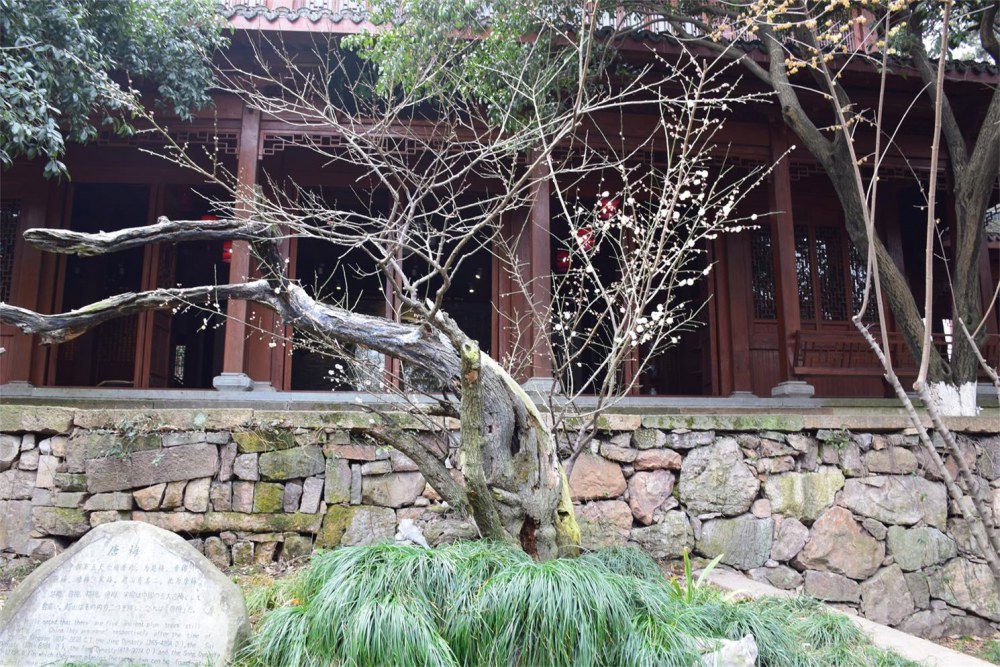 ��ɽ��÷ 178.JPG