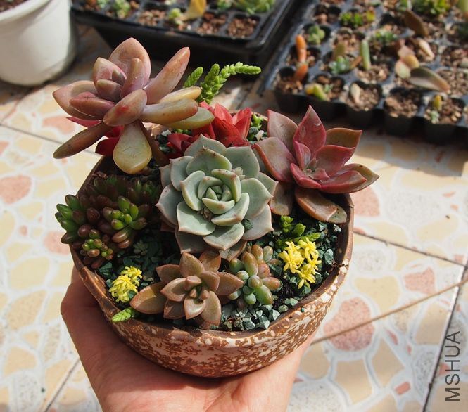 QQͼƬ20150217212830.jpg