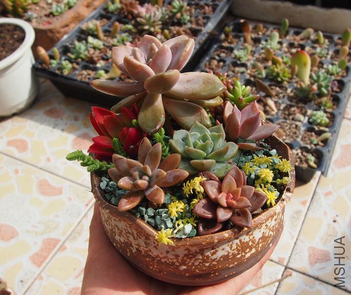 QQͼƬ20150217212836.jpg