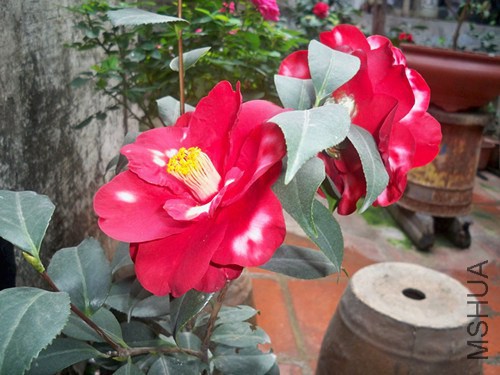 100_5580_����.jpg