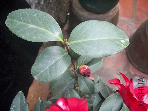 100_5582_����.jpg