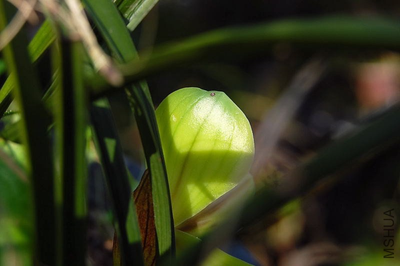 DSC_03470347.JPG
