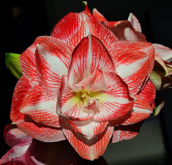 DSC_5219.jpg