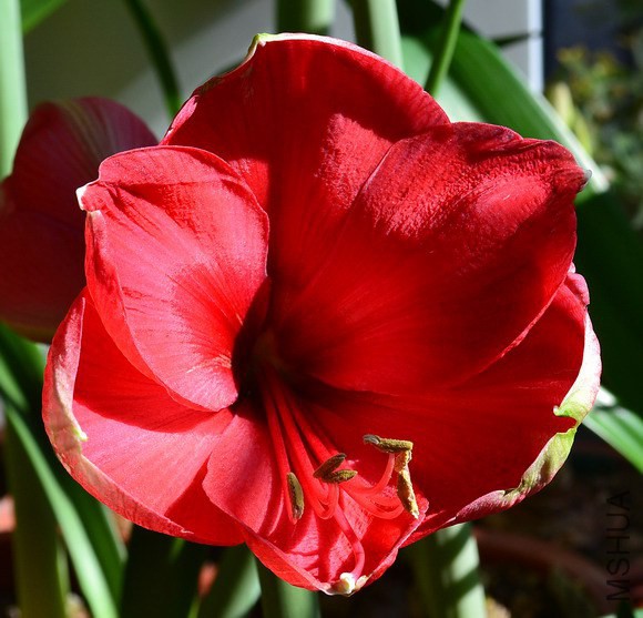 DSC_5443.jpg