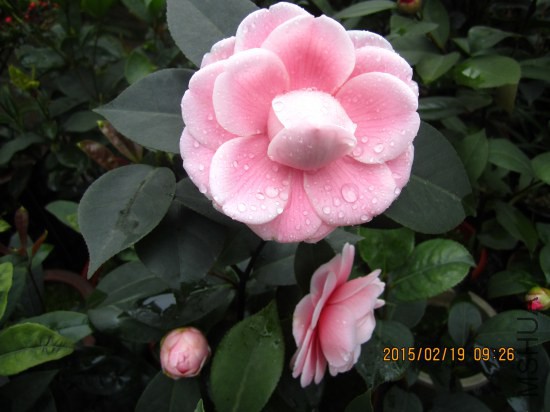 IMG_5628_�༭.jpg