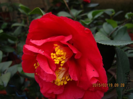 IMG_5635_�༭.jpg