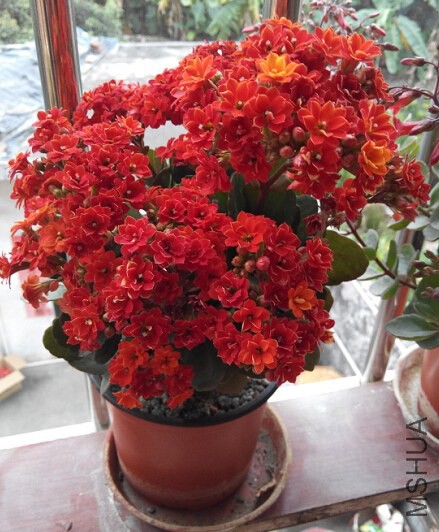 QQ��ͼ20150219213144.jpg