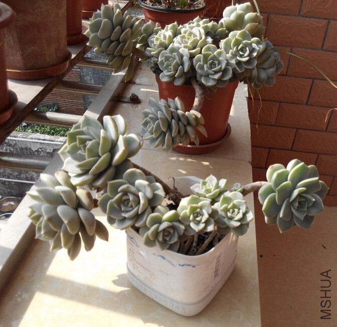 QQ��ͼ20150219213201.jpg