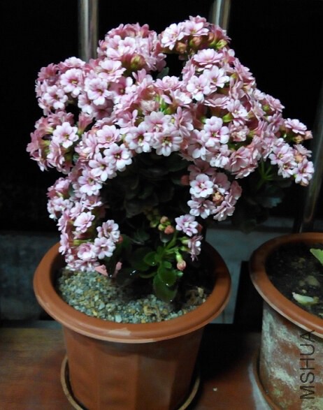 QQ��ͼ20150219213224.jpg