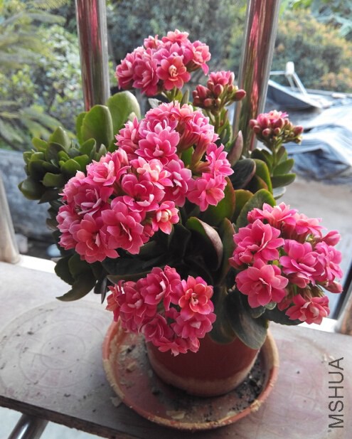 QQ��ͼ20150219213324.jpg
