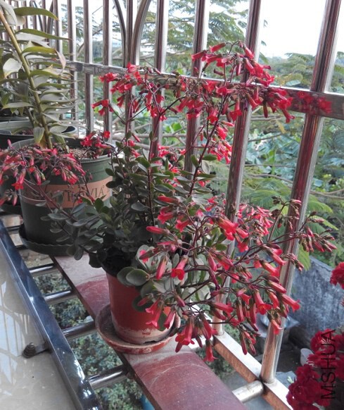 QQ��ͼ20150219213337.jpg