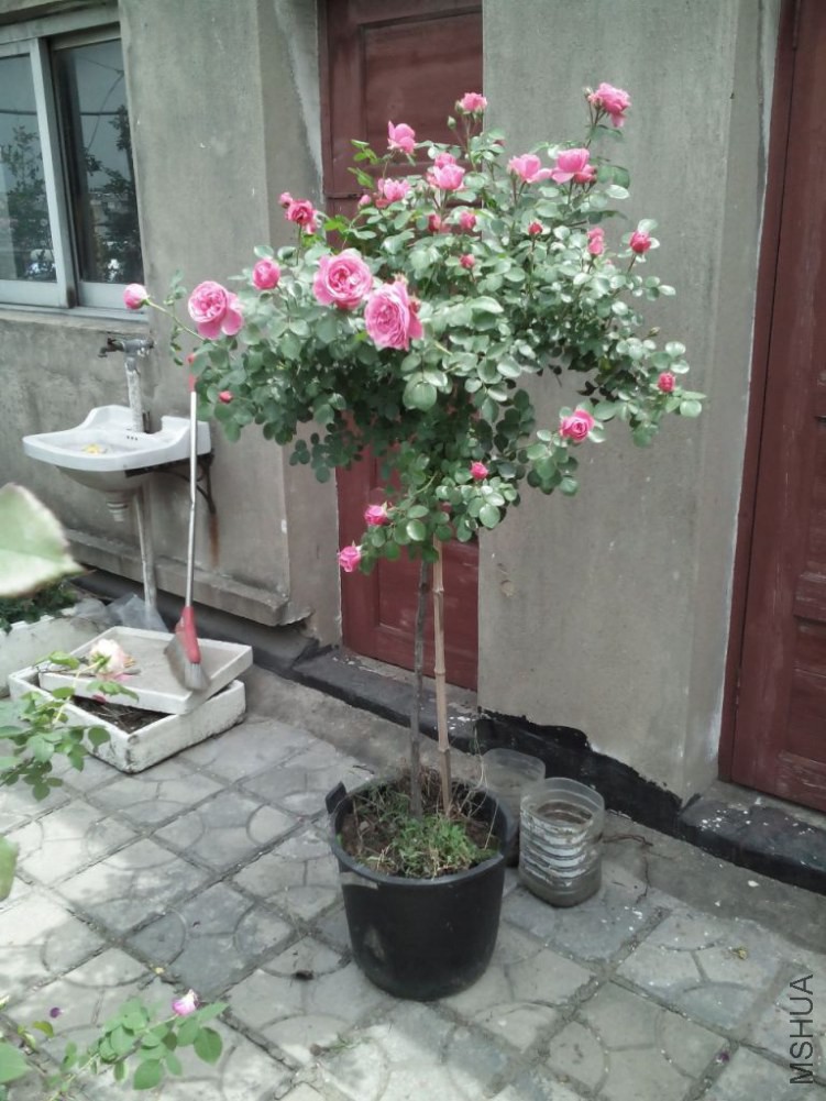 IMG20140503132427.jpg