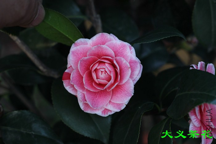 IMG_5630.jpg
