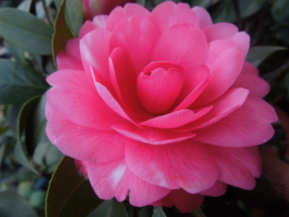 DSCN4635.JPG