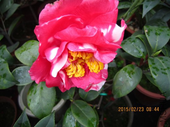 IMG_5674_�༭.jpg