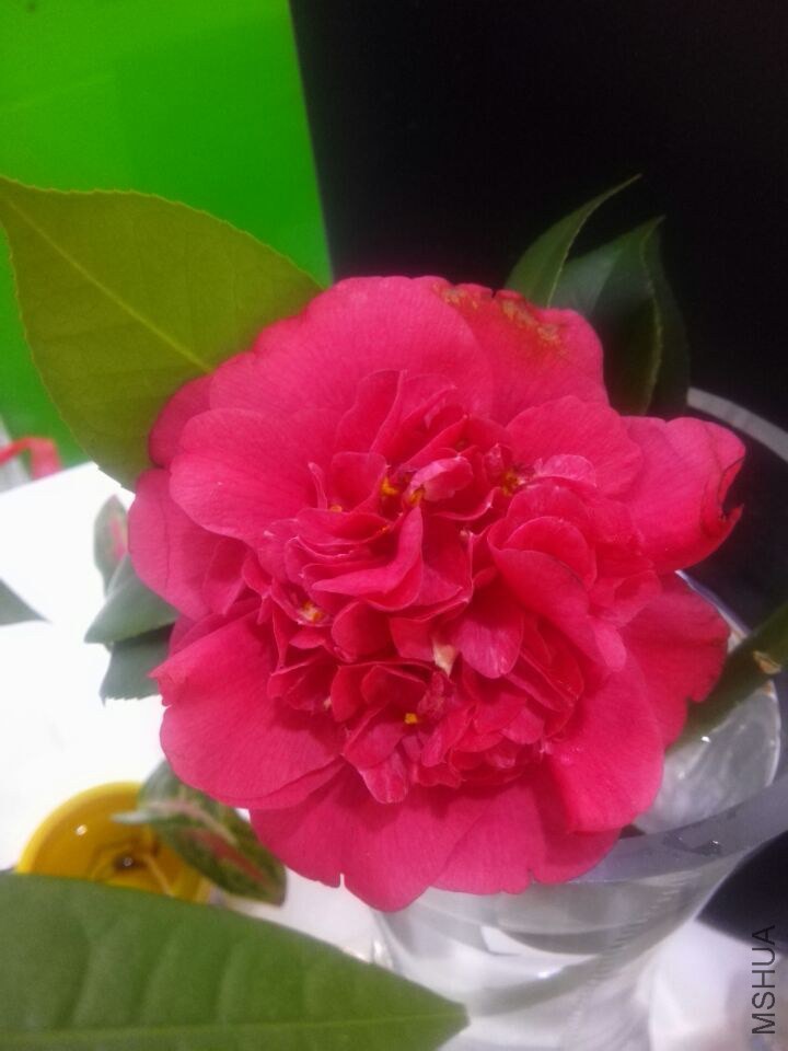 QQͼƬ20150223111804.jpg