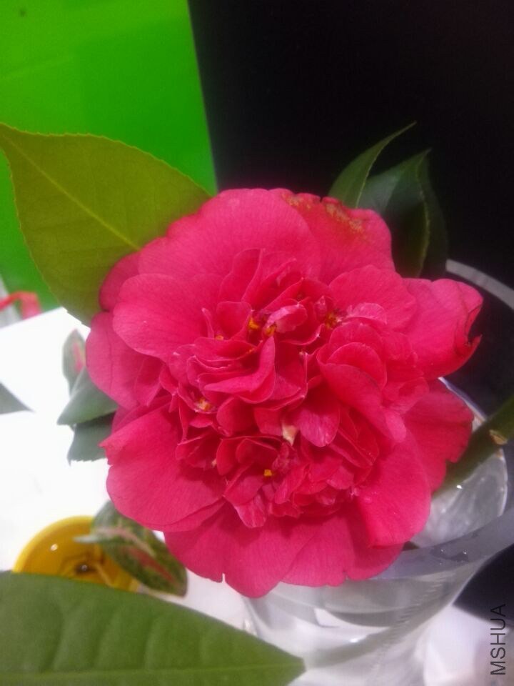 QQͼƬ20150223111809.jpg