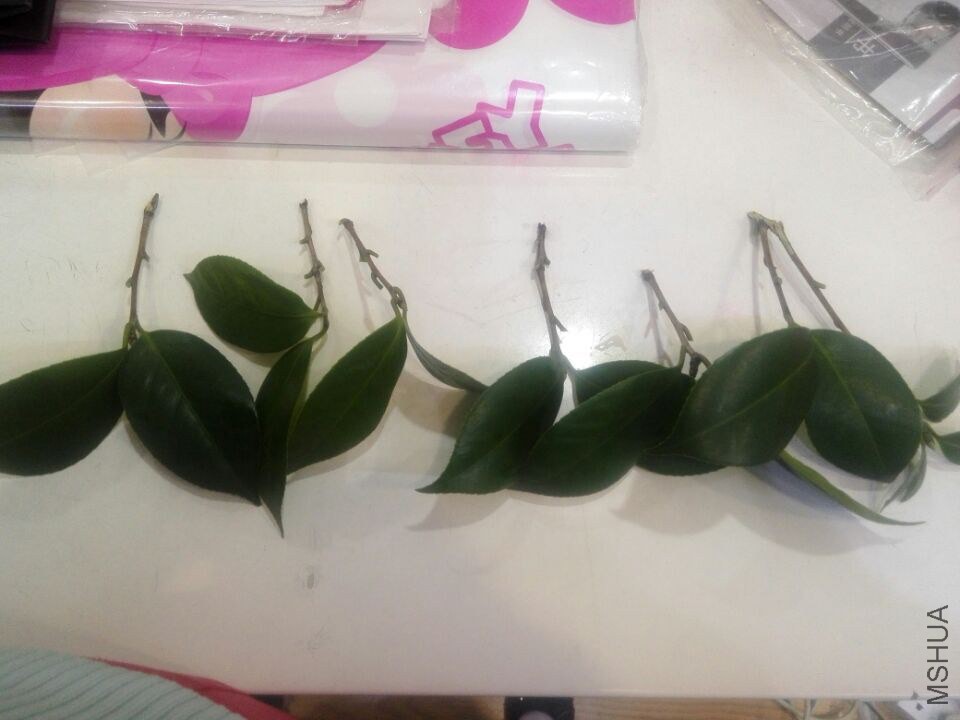 QQͼƬ20150223111800.jpg