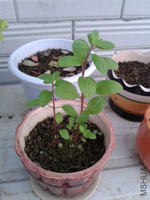 20150222_172953.jpg