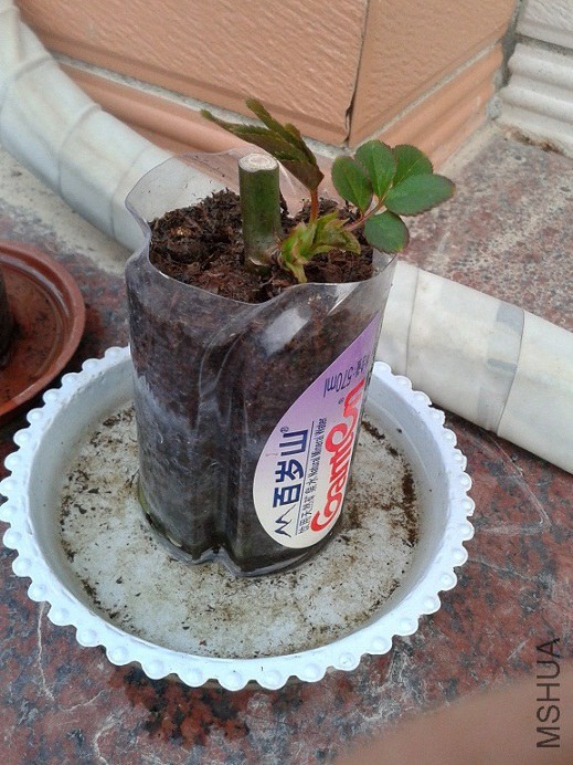 20150222_174701.jpg