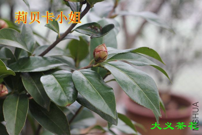 �򱴿�С ��1.jpg