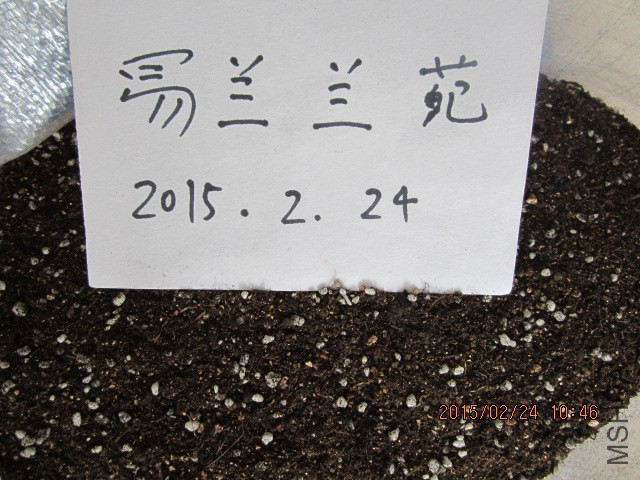IMG_8855.JPG