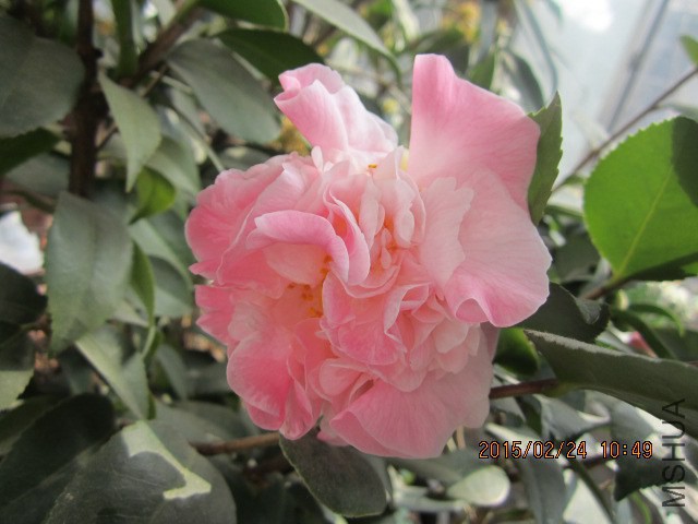 IMG_8864.JPG