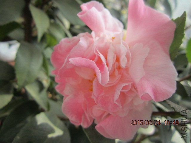 IMG_8863.JPG