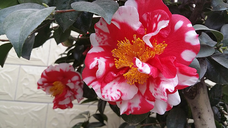 20150221_121319_����.jpg