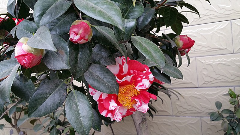 20150221_123004_����.jpg