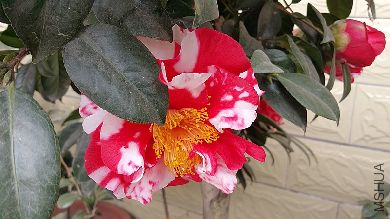 20150222_121605_����.jpg