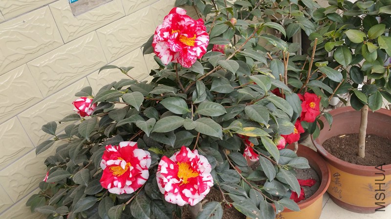 20150222_121927_����.jpg