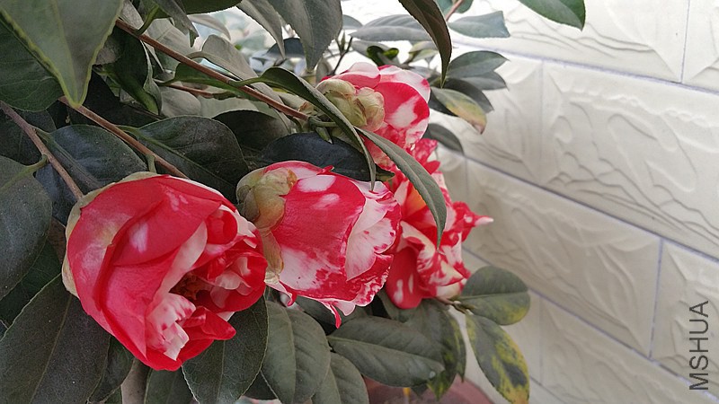 20150222_121830_����.jpg