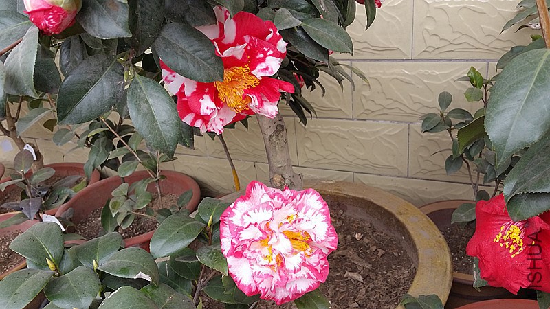 20150222_122028_����.jpg