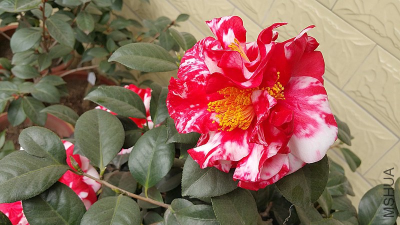 20150222_122217_����.jpg