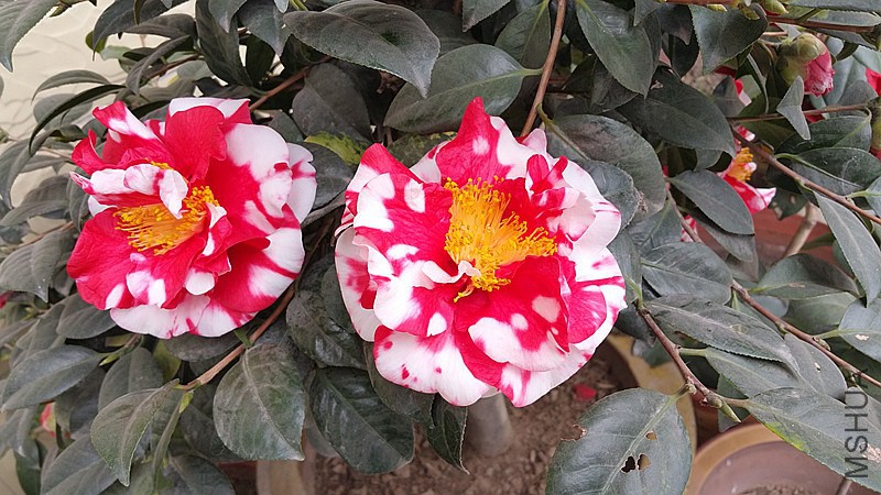20150222_122233_����.jpg