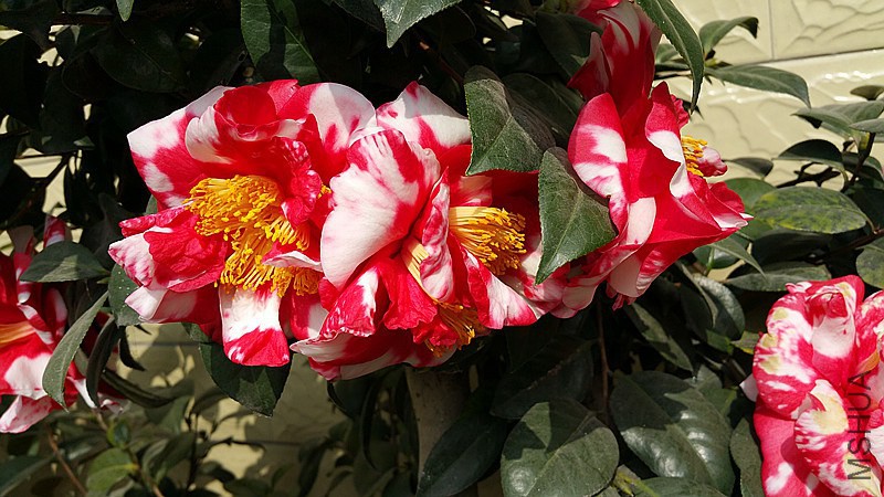 20150224_105442_����.jpg