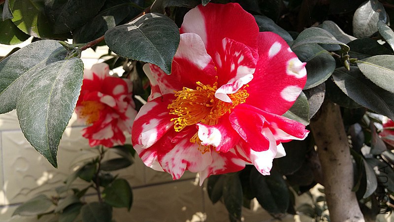 20150224_105516_����.jpg