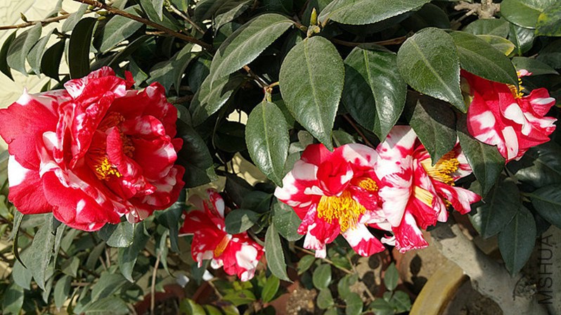 20150224_105505_����_����.jpg