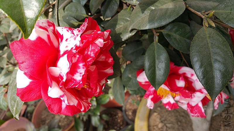 20150224_105910_����.jpg