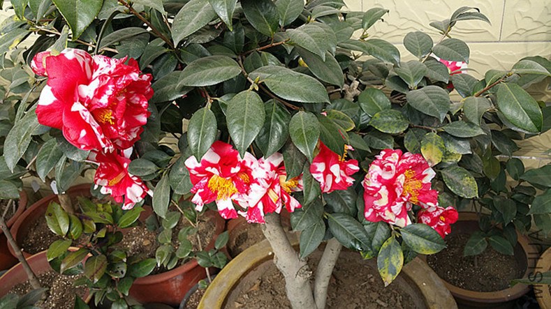 20150224_105959_����_����_����.jpg