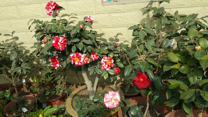 20150224_105559_����.jpg
