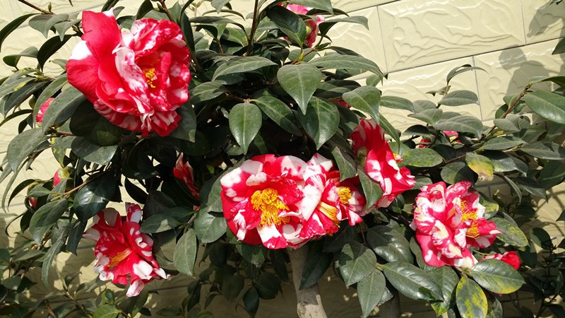 20150224_105450_����.jpg