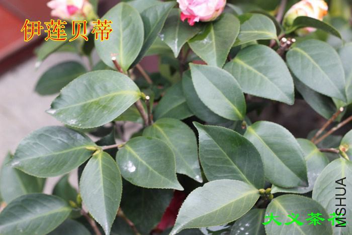 ��������5 (1).jpg