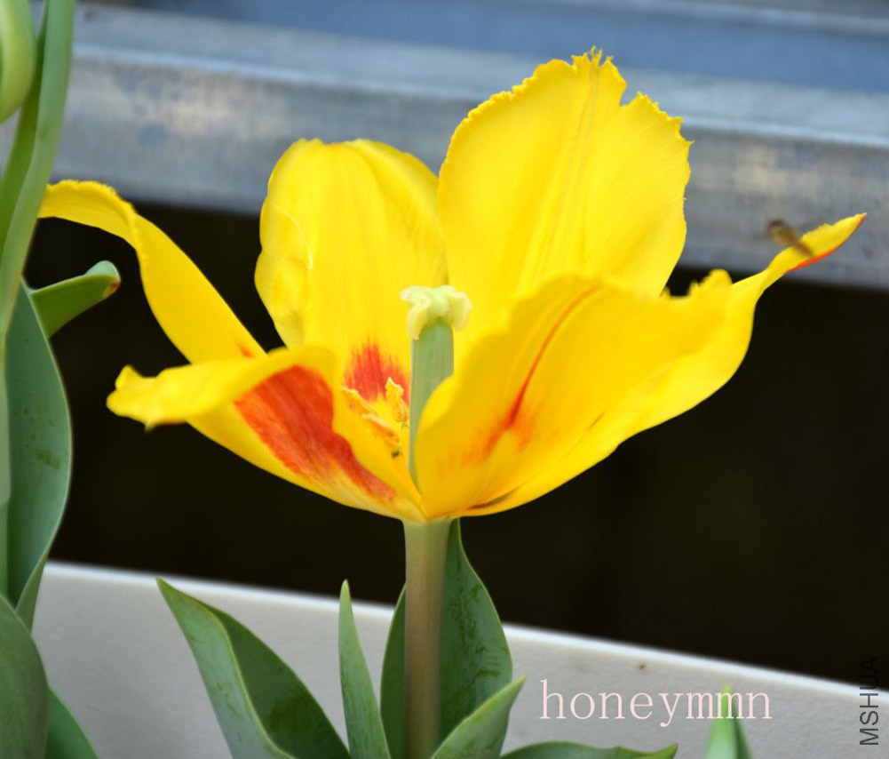 ���ơ�ɫ���������Ѿ�����4���ˣ�����Ư��Ŷ