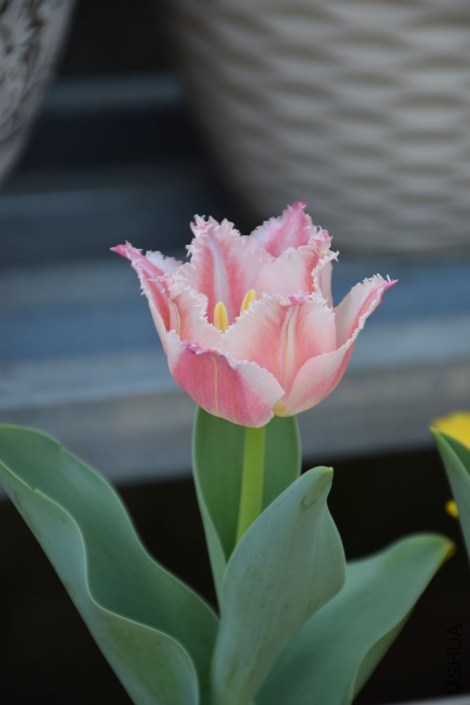 ��һ���ǽ���տ��ģ���ϲ��