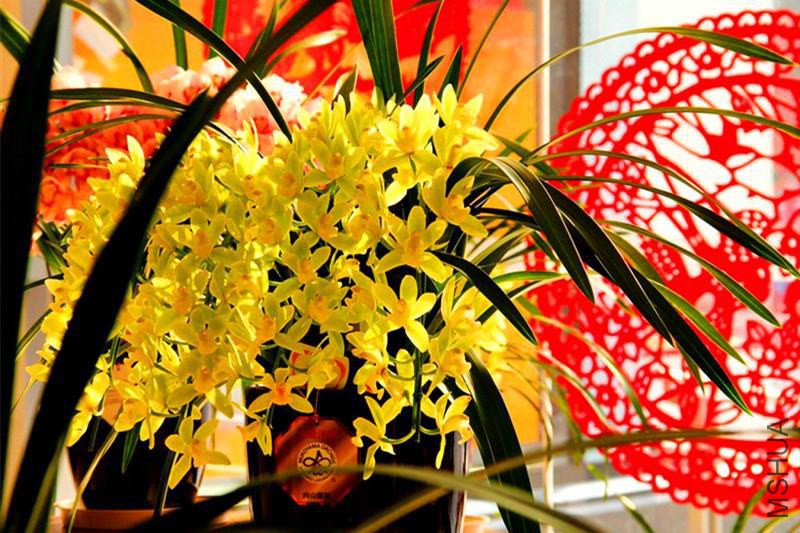 psb (1330)_����.jpg